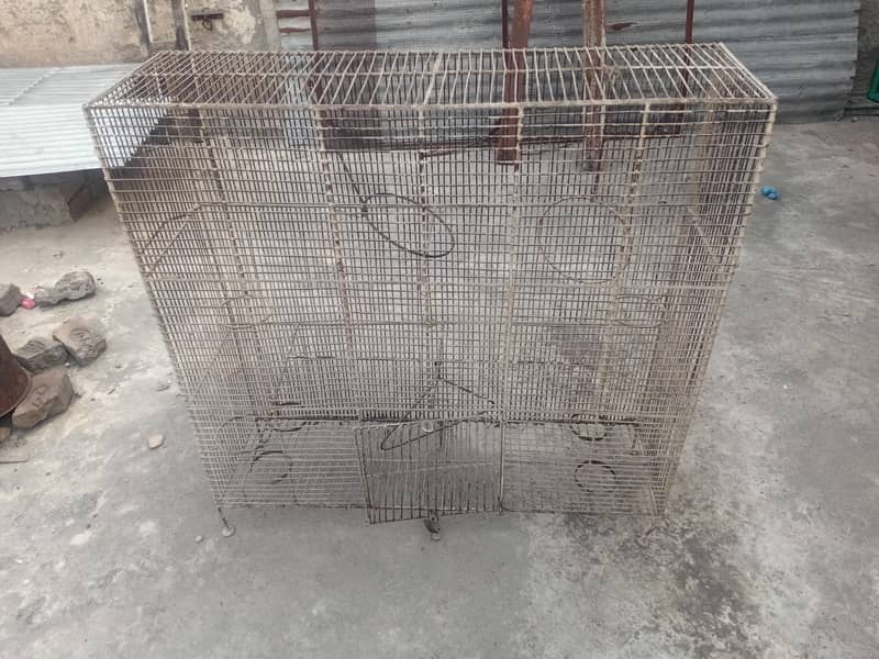 Bird Cage 1