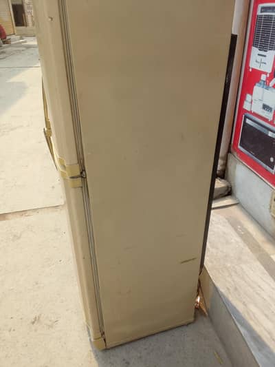 urgent sale lush condition