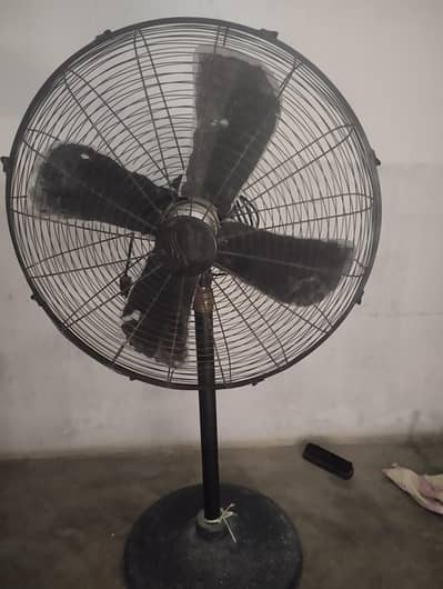 silk padistal fan