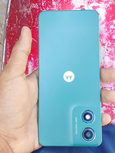 Motorola G04s