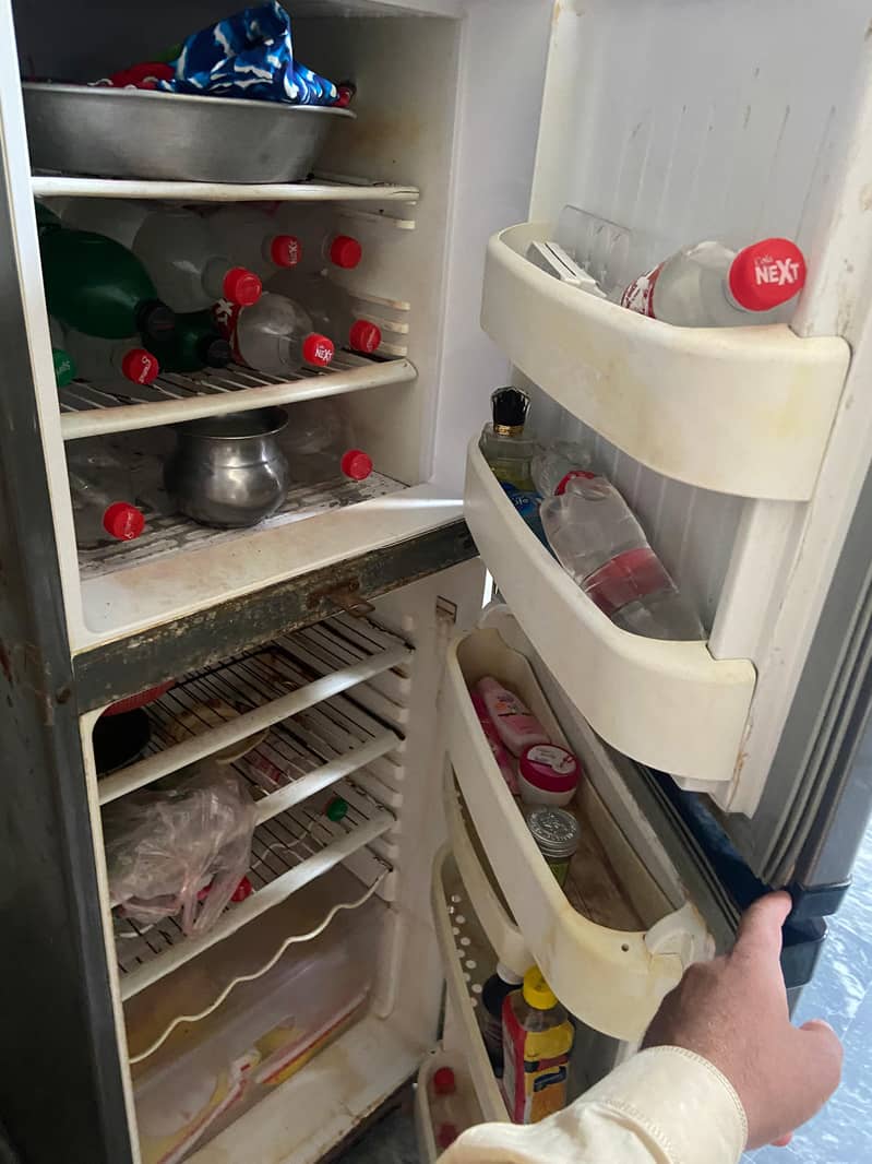 Orient fridge 3
