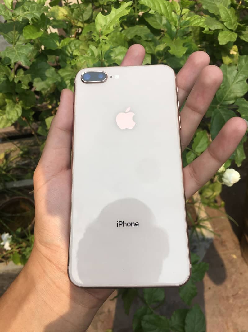 Iphone 8 plus pta 0