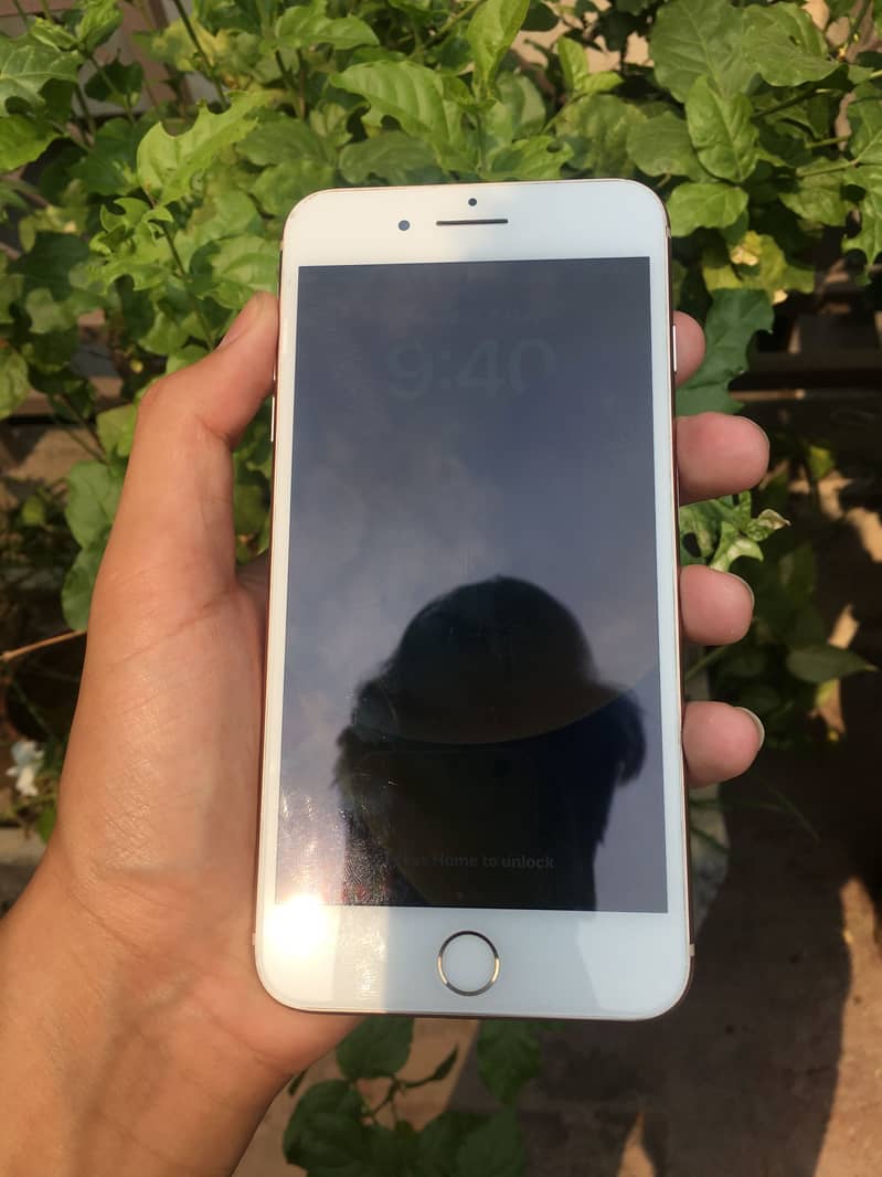 Iphone 8 plus pta 2