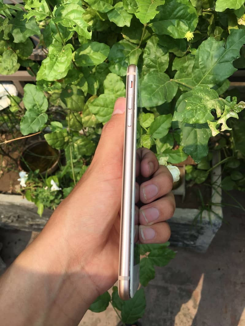 Iphone 8 plus pta 6