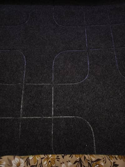 carpet real colour dark gray