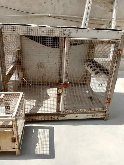 RS : 1500