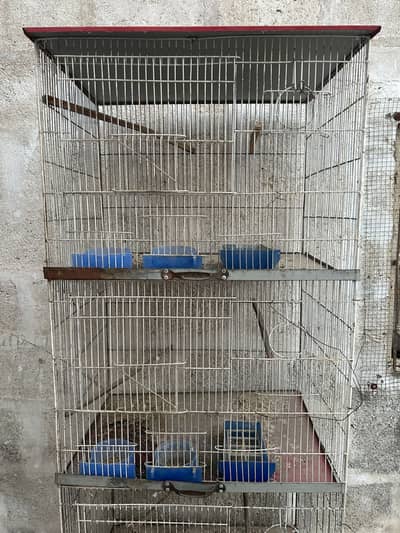 Birds Cage 4 Portion 1.5x2