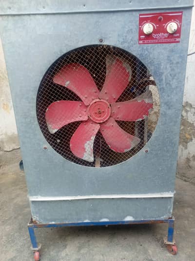 lahori cooler local