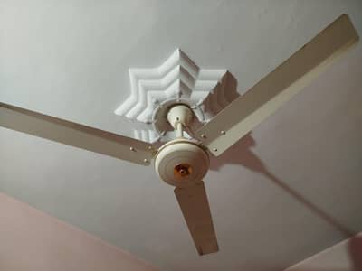 Super Asia Fan for Sell