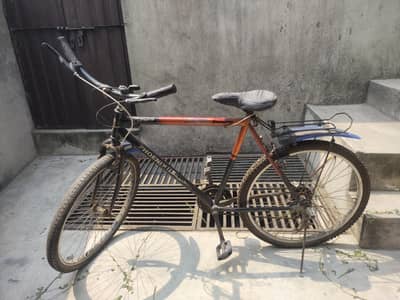 Phoenix bicycle Heavy frame cycle