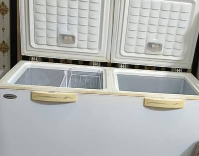 Inverter freezer