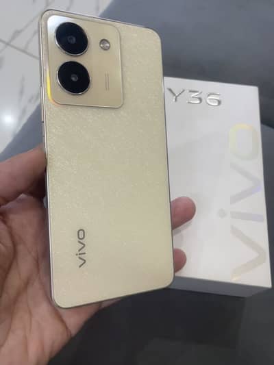 vivo y36 8/256