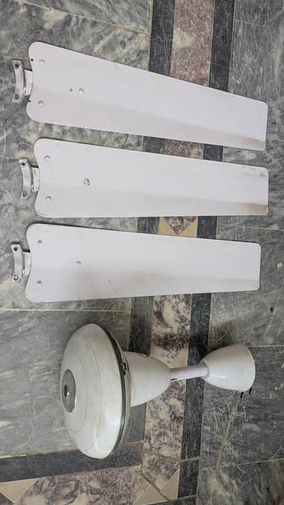 Super Asia Ceiling fan for Sale