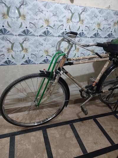 Cycle New