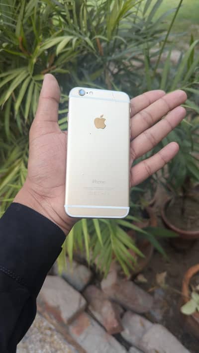 IPHONE 6  03177308350