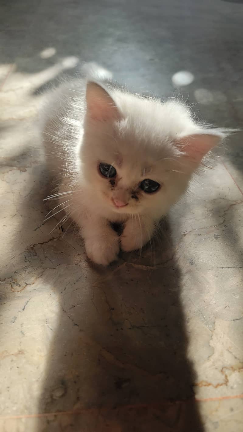 2 months 3