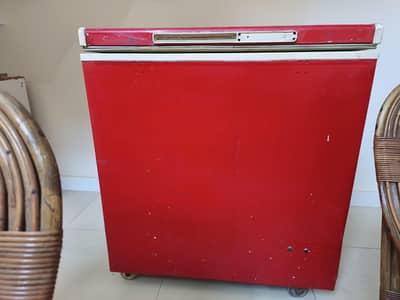 One Door Freezer For Sale