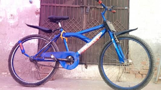 China cycle