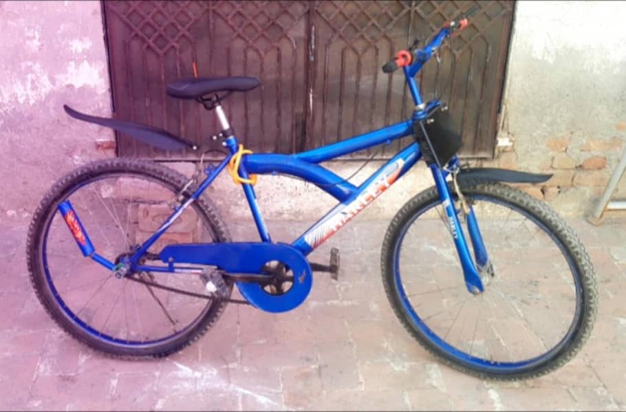 China cycle 1