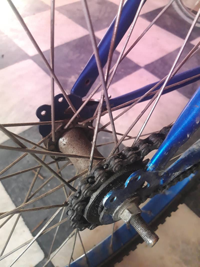 China cycle 2