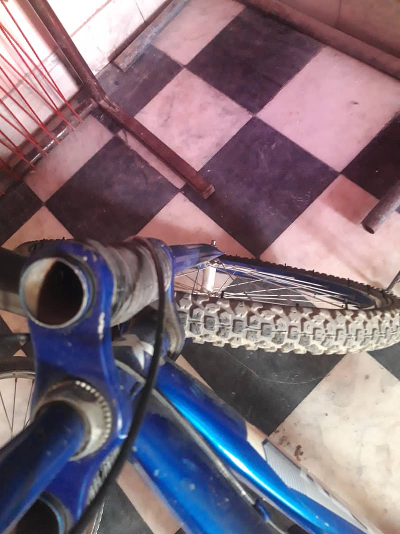 China cycle 3