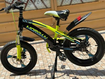 Mountain Cycle