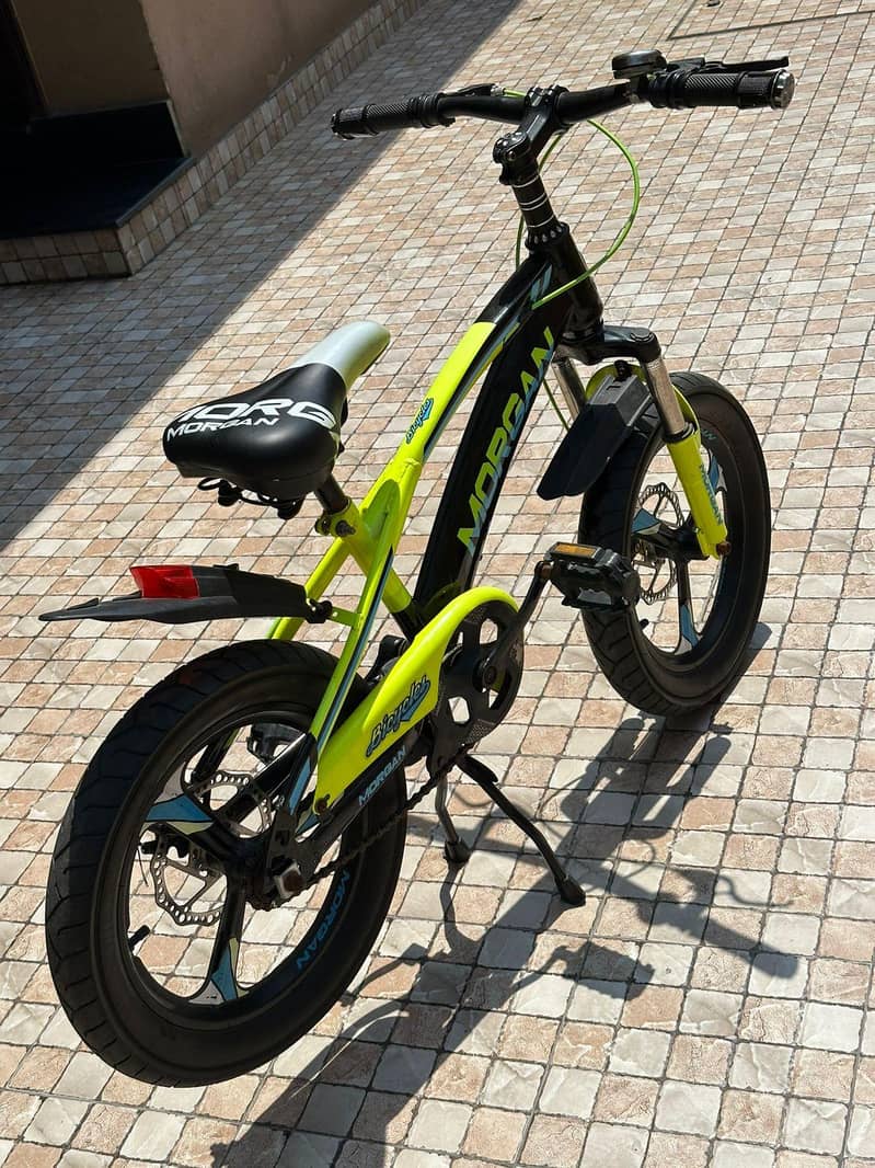 Mountain Cycle 2