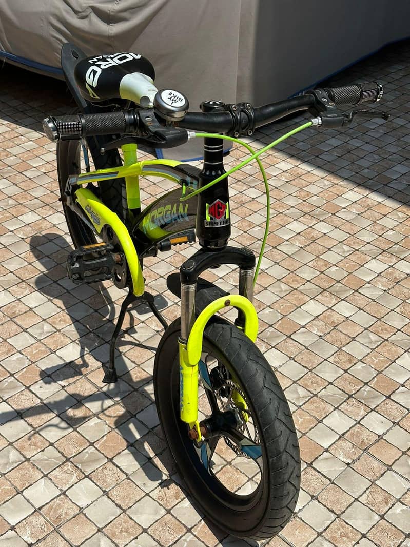 Mountain Cycle 3