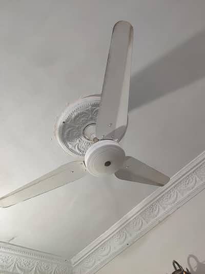 Champion brand ceiling fans in new condition