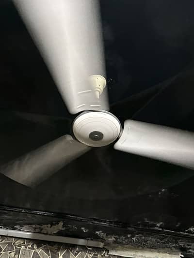fans for sale