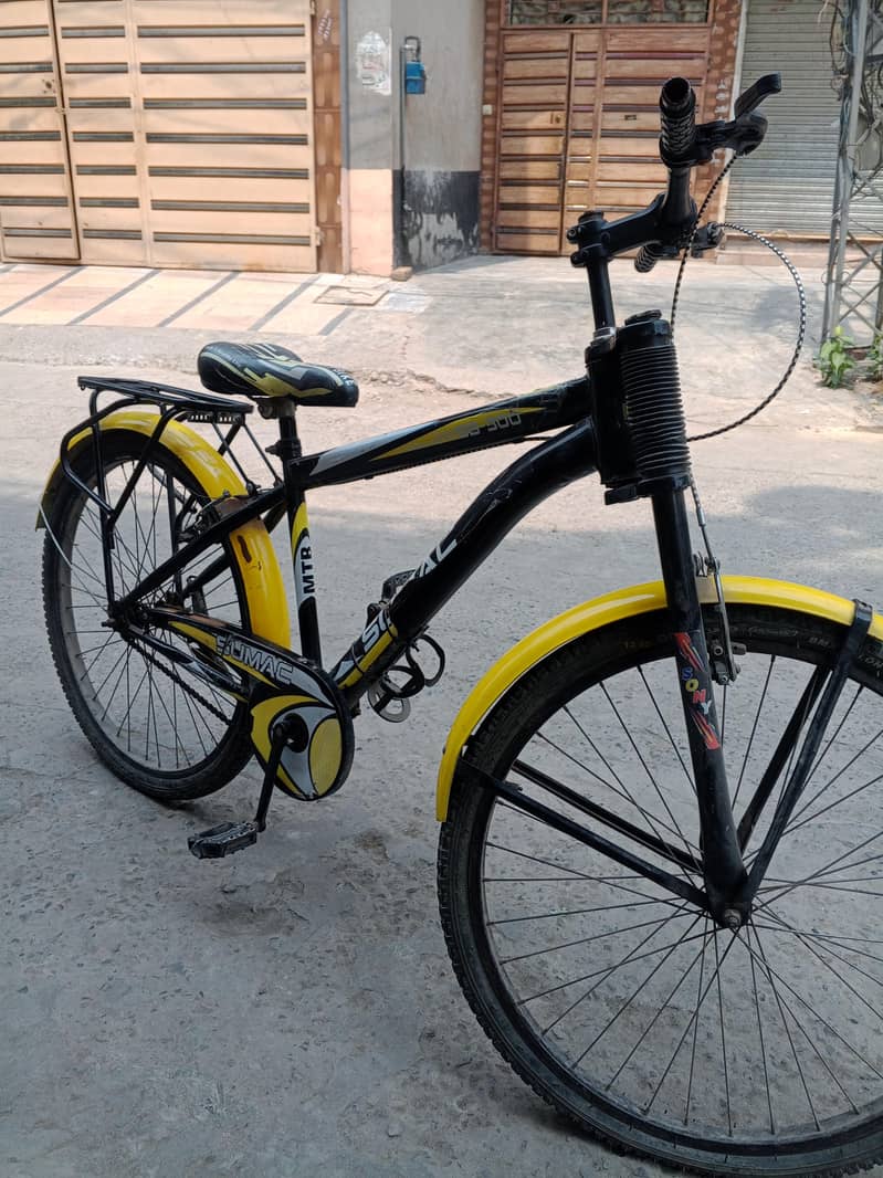 Mountain bicycle 1