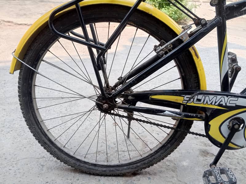 Mountain bicycle 2
