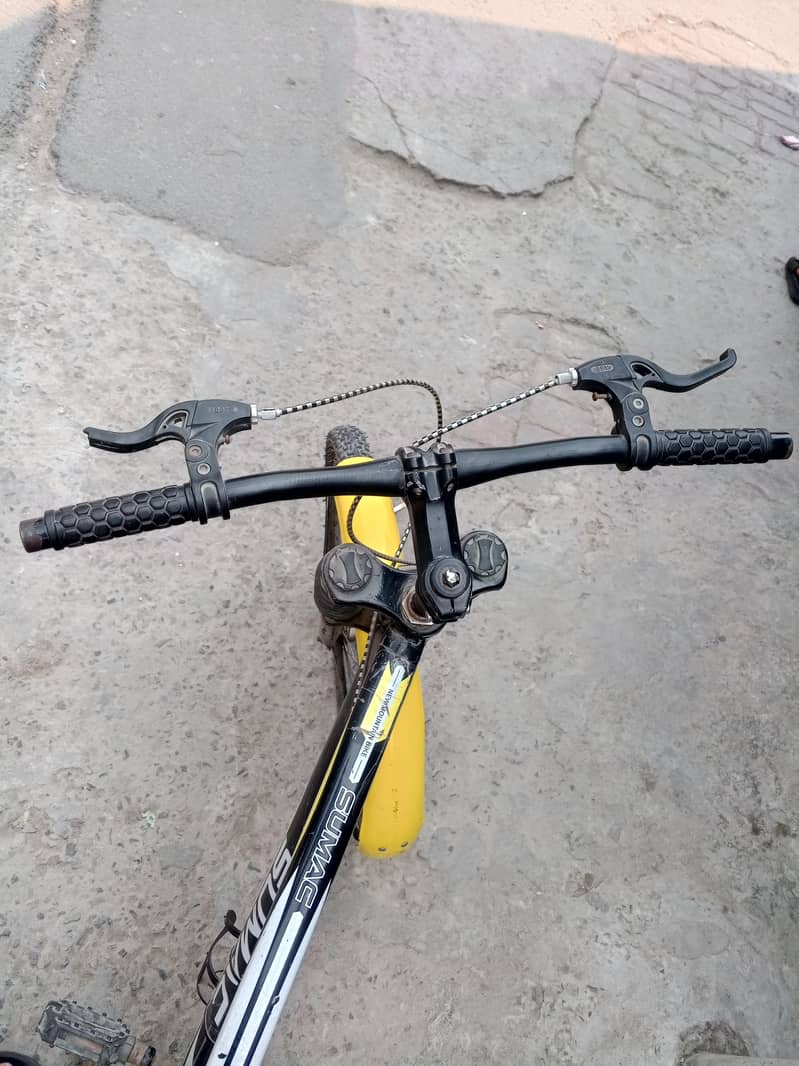 Mountain bicycle 3