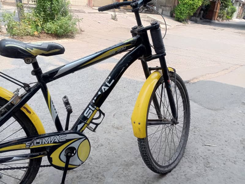 Mountain bicycle 5