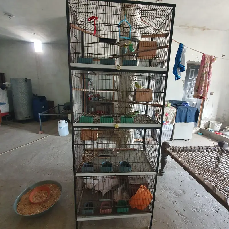 4 portion new cage 2.5*1.5*1.5