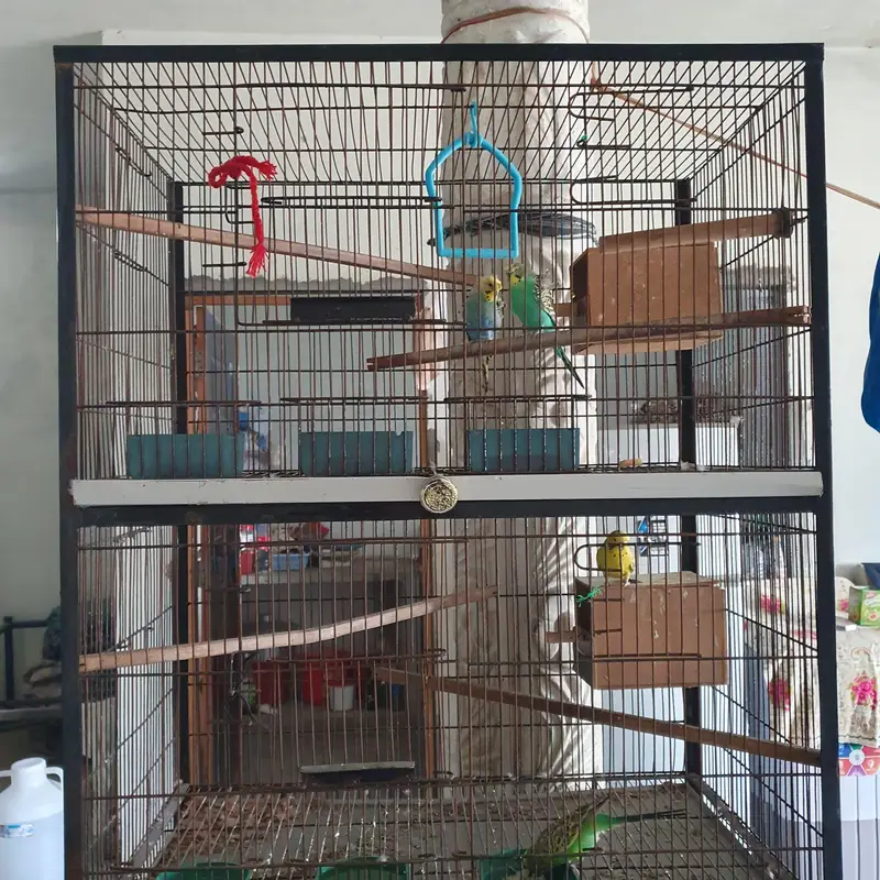 4 portion new cage 2.5*1.5*1.5 — photo 2
