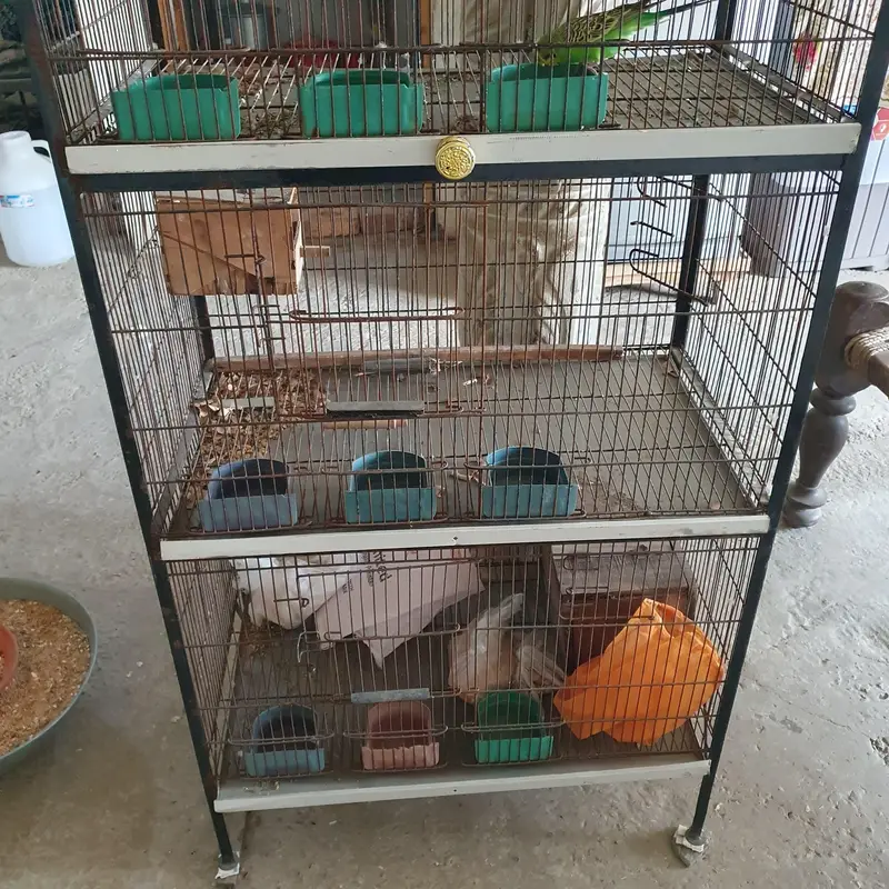 4 portion new cage 2.5*1.5*1.5 — photo 3