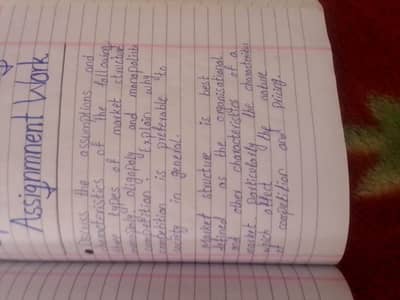 assignment  Help Handwritten  Typed  Peshawar
