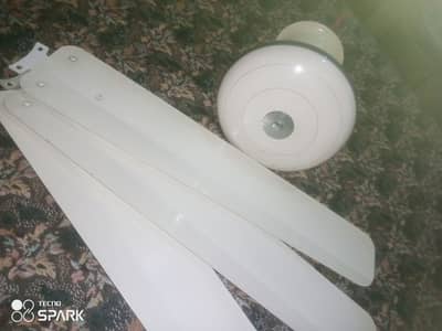 Pak fan ceiling fan in excellent condition