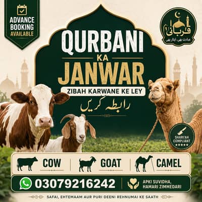 Professional Butcher Services in lahore  | Fresh & Hygienic Qasai