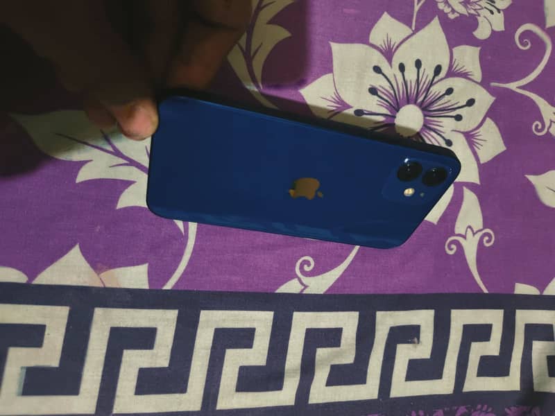 Apple iPhone 12 1