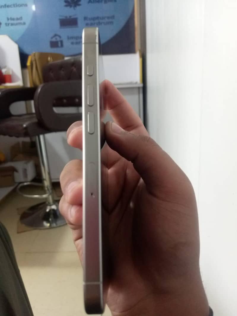 Apple 2