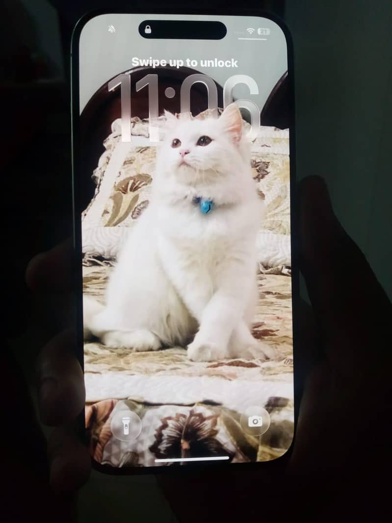 Apple 4