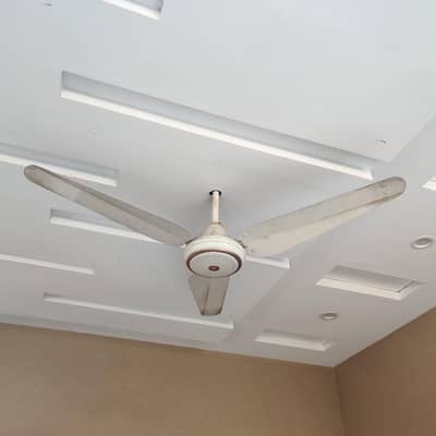 SK Ceiling Fan For Sale!