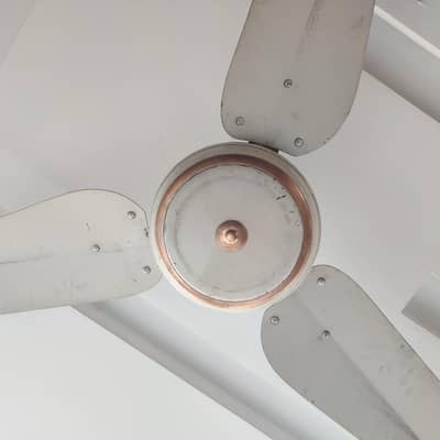 SK Ceiling Fan For Sale Urgent !