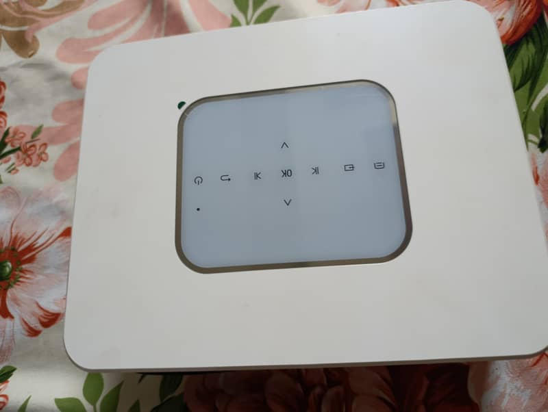 projector 1