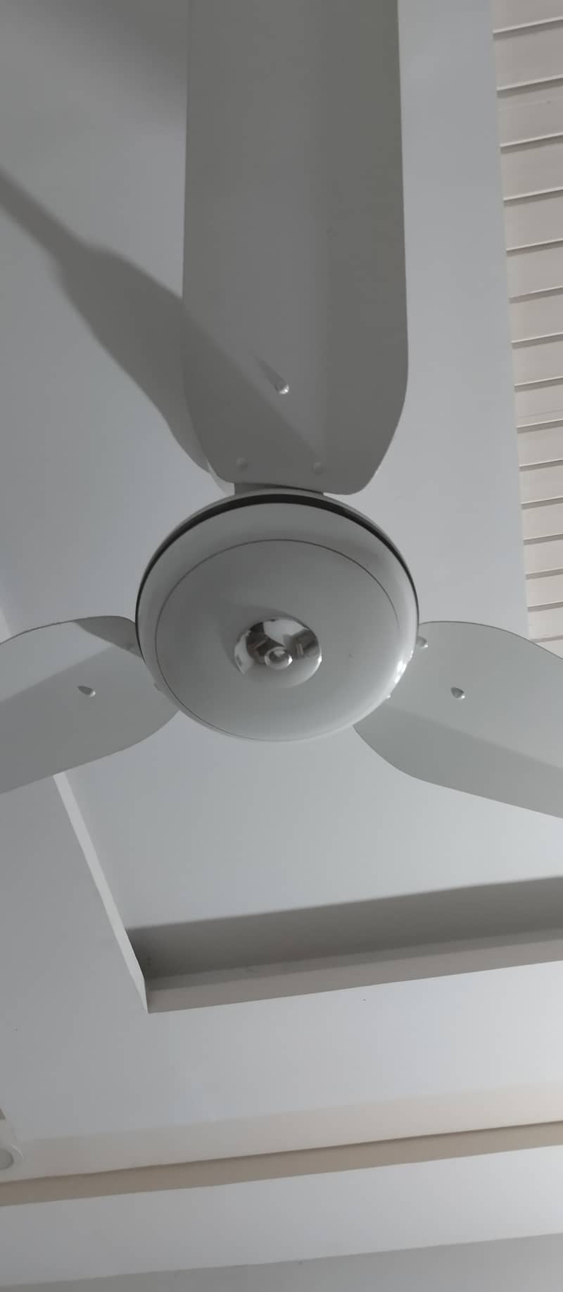 Ceiling Fans 0