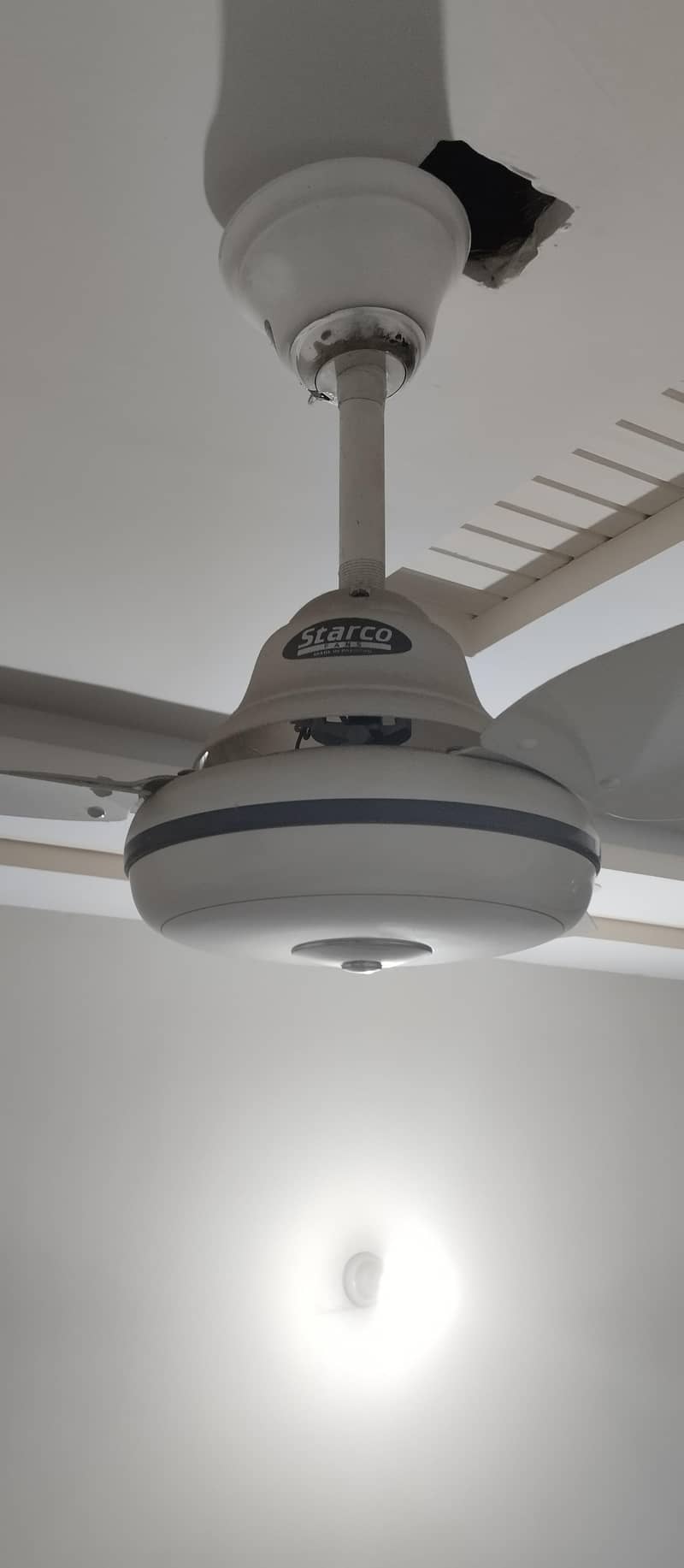 Ceiling Fans 1