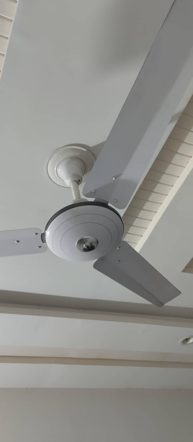 Ceiling Fans 2