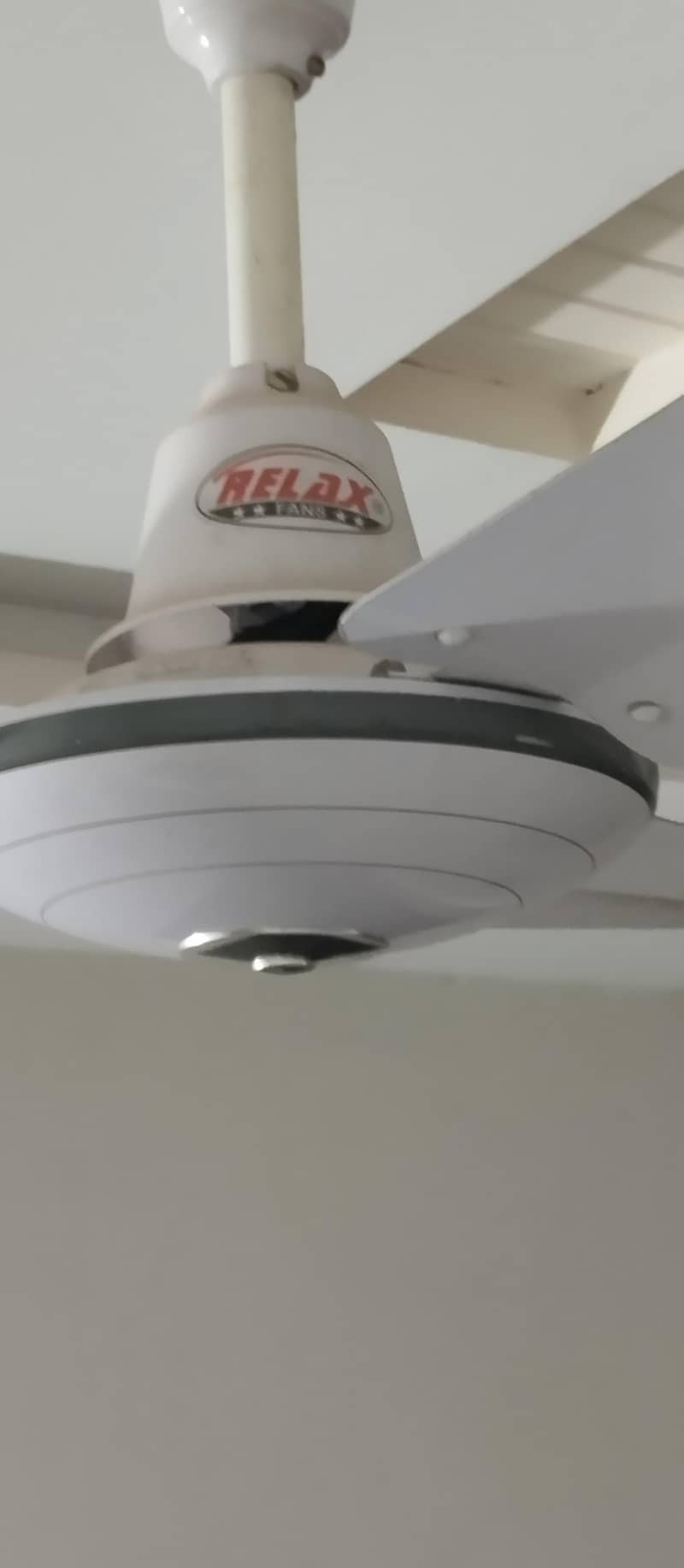 Ceiling Fans 3
